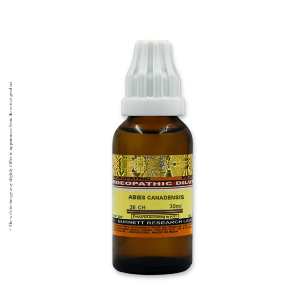 a 30 ml bottle of Abies cannadensis CH